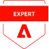 Expert