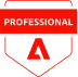 Professional