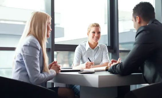 Professional Services (Legal, Accounting, Consulting)