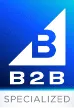 website design services: b2b specialized