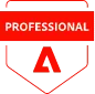 website design services: adobe professional