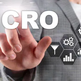 Establish a Conversion Rate Optimization (CRO) Program