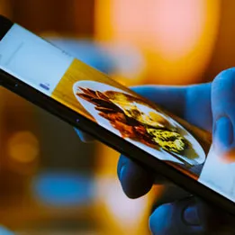 Small Screen Opportunity: Get Optimized!
