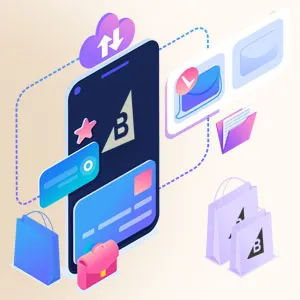 BigCommerce B2B: Power Up Your Online Store 
