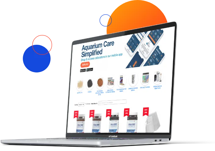 Featured Image of Magento 2 Migration for Bulk Reef Supply with B2B capabilities