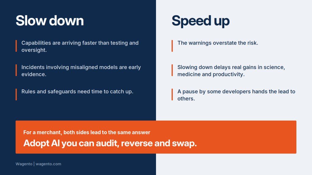 The AI safety debate: arguments to slow down AI development versus speed it up, and what it means for ecommerce
